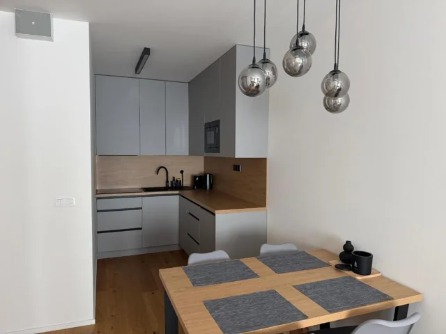 Další pohled na kuchyň a jídelní stůl apartmánu